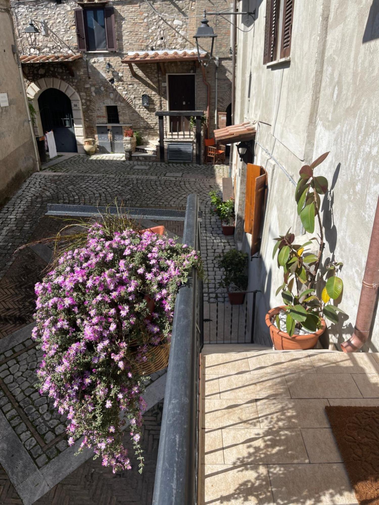 Il Borghetto Apartment Mentana Екстериор снимка