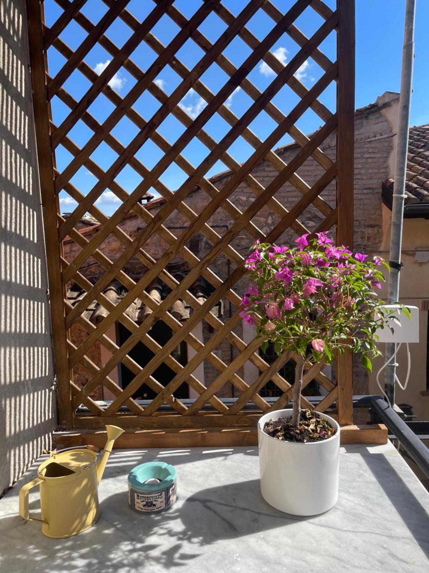 Il Borghetto Apartment Mentana Екстериор снимка